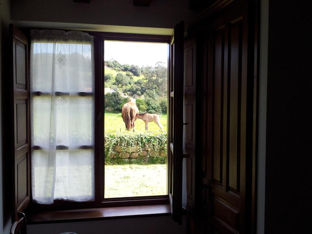 La Roblera Apartment
